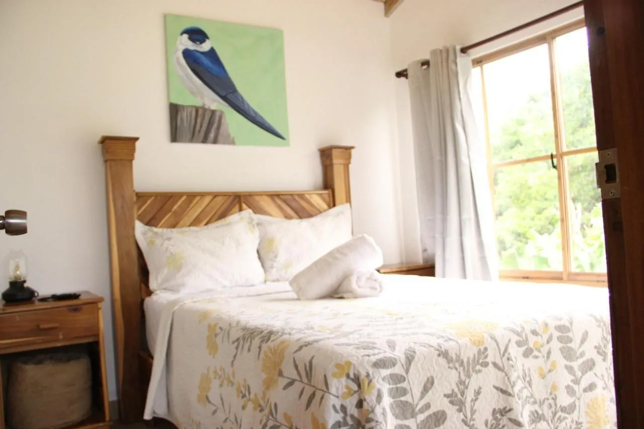 Lodge Villas Montelindo Constanza